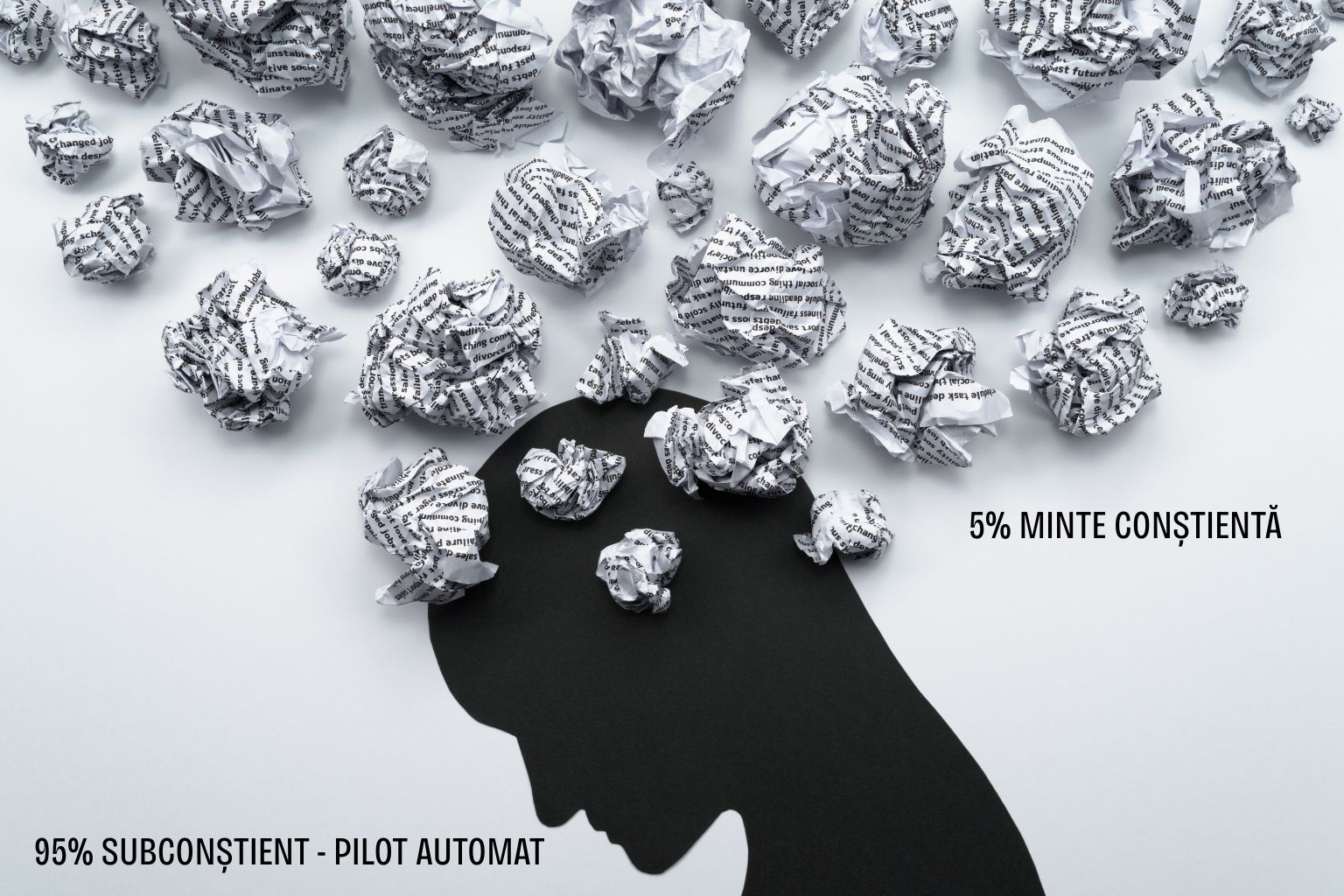 pilot automat mental 95% subconștient